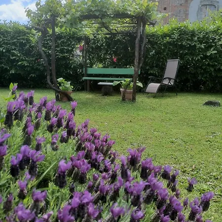 Bed & Breakfast La Canonica Della Merella