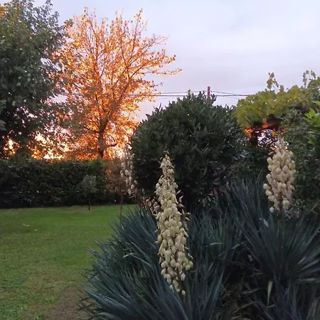 La Canonica Della Merella