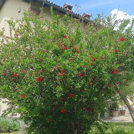 La Canonica Della Merella *